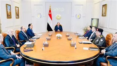 الرئيس السيسي يوجه بتعزيز التكامل بين قطاعي السياحة والطيران