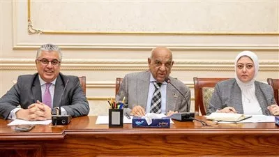 «اقتصادية قناة السويس» تدرس طرح مشروعات الصناعات المكملة للوقود الأخضر 