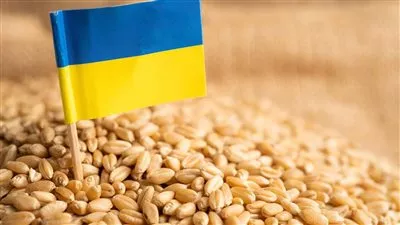 تراجع صادرات أوكرانيا من الحبوب 17.7% في الموسم الجاري