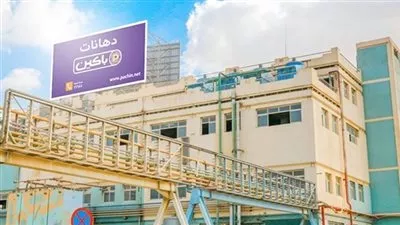 «الأصباغ» الإماراتية ترفع عرض الاستحواذ على «باكين» إلى 37.75 جنيهًا للسهم