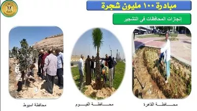 التنمية المحلية: توريد 4.5 مليون شجرة للمحافظات بتكلفة 128.4 مليون جنيه