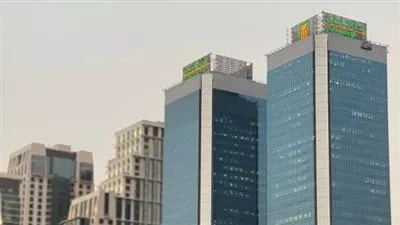 الأهلي فاروس تنجح في إتمام أول عملية استحواذ ضمن برنامج الطروحات 