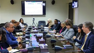 «التعاون الدولي» و«التخطيط القومي» يعقدان منصة تعاون تنسيقي مشترك