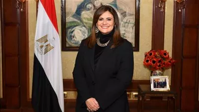 «الهجرة» تنشر إرشادات التحويلات المالية وتدبير النقد الأجنبي للطلاب المصريين بالخارج