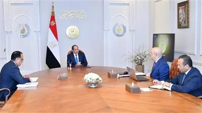 السيسي يتابع تطورات العمل بسد «جوليوس نيريري» في تنزانيا