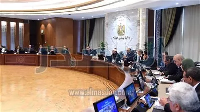 الأردب بـ 1500 جنيه.. الحكومة توافق على حافز إضافي لتوريد القمح