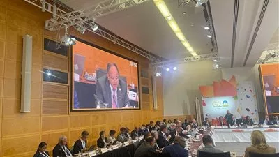 معيط: تطوير الهيكل المالي العالمي لتسريع وتيرة التعافي الاقتصادي