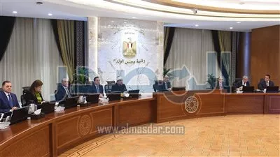 الحكومة تحدد سعر ضمان لتوريد القطن خلال العام الجاري