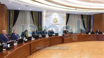 بدء دراسات تنفيذ مشروع خط ربط كهربائي من مصر إلى أوروبا عبر ايطاليا