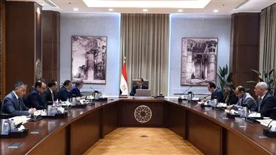 رئيس الوزراء يستعرض ملامح مشروع للبتروكيماويات بـ2.5 مليار دولار