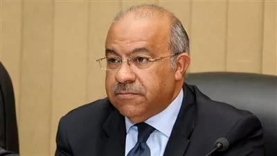 «التجارة الداخلية»: مفاوضات مع مستثمر سعودي لإنشاء مشروع متكامل للدواجن في بنى سويف