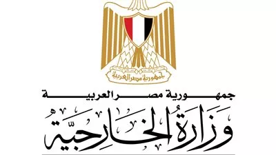 «الخارجية» تعلن عن مبادرة لتسوية المواقف التجنيدية للمصريين بالخارج