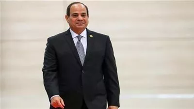 السيسي يتابع استثمارات «سكاتك» النرويجية بمجال الطاقة المتجددة في مصر 