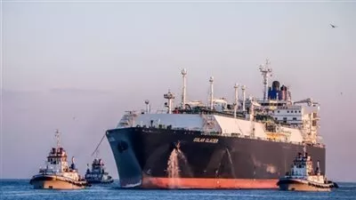 تداول 36 سفينة حاويات وبضائع عامة بميناء دمياط