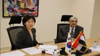 وزيرة البيئة الكورية: نتطلع لتعزيز التعاون مع قطاع الكهرباء المصري