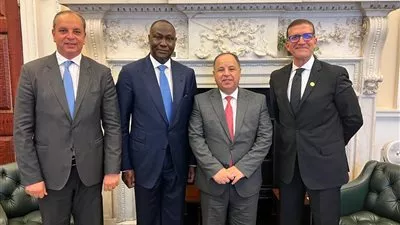 وزير المالية: نتطلع لزيادة استثمارات مؤسسة التمويل الأفريقية فى مصر