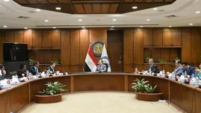 «شيفرون» العالمية تعتزم ضخ استثمارات كبيرة فى مصر