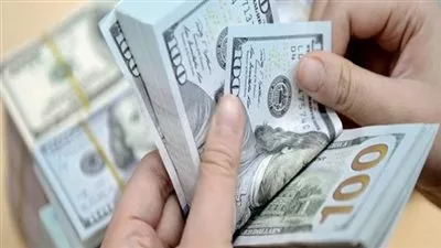 سعر الدولار في البنوك المصرية اليوم الاثنين 29 مايو 2023