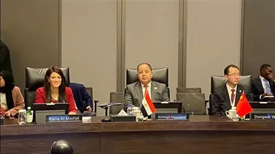 وزير المالية: نتطلع لمساندة الجهود المصرية في تحقيق التنمية المستدامة