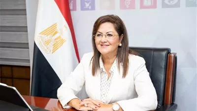 مصر تستهدف 83 مليار دولار من مصادر النقد الأجنبى .. العام المقبل