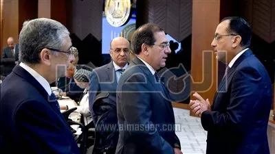 مجلس الوزراء يتابع إجراءات طرح محطة كهرباء بني سويف