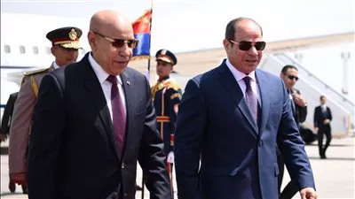 الرئيس السيسي يبحث مع نظيرة الموريتاني تعزيز التعاون الاقتصادي والتجاري المشترك