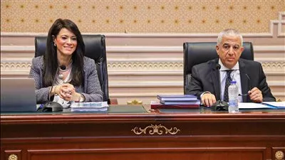 التعاون الدولي: منح تنموية بقيمة 3.4 مليار دولار لتنفيذ 169 مشروعا