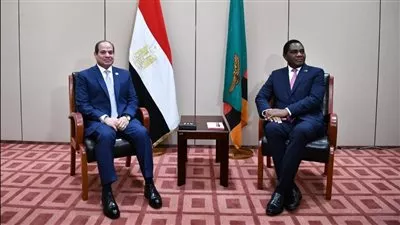 بالفيديو.. السيسي يؤكد ضرورة تعزيز التكامل الاقتصادي ورفاهية الشعوب الإفريقية