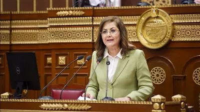 وزيرة التخطيط تناقش تقرير لجنة الشئون المالية والاقتصادية والاستثمار أمام مجلس الشيوخ