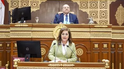 وزيرة التخطيط: 11.8 تريليون جنيه إجمالي الناتج المحلي المستهدف في العام المالي الجديد