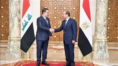 الرئيس السيسي يؤكد دعم مصر الثابت والراسخ لأمن واستقرار العراق