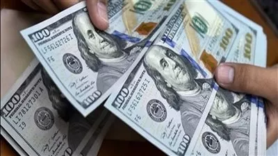 «جولدمان ساكس»: 5 مليارات دولار تضمن تحول كامل لسعر صرف مرن في مصر