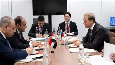 وزير التجارة يبحث مع كبري شركات الشحن الروسية فرص التعاون المشترك