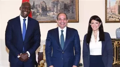 استثمارات مؤسسة التمويل الدولية في مصر تسجل 7 مليارات دولار
