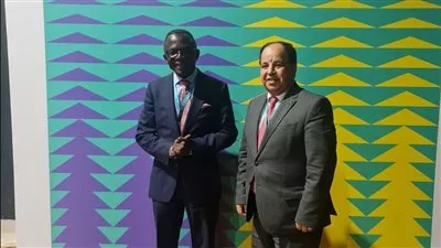 وزير المالية يبحث تعزيز التعاون الاقتصادي بين مصر والكونغو 