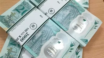 البنك المركزي المصري يطرح عملة جديدة من فئة العشرين جنيهًا