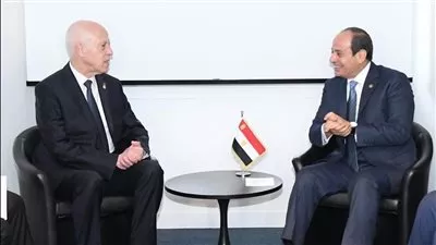 السيسي يؤكد دعم مصر لتونس خلال الظرف الدقيق الراهن الذي تمر به