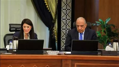 المشاط: الشراكة مع مؤسسة التمويل الدولية تعكس أهمية آليات التعاون الإنمائي 