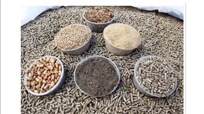 استمرار فرض رسم صادر على صنف البرسيم والمنتجات العلفية