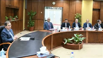 وزير البترول يتابع إجراءات تنفيذ مشروع مجمع انتاج السيليكون