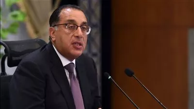 مصر تستهدف 191 مليار دولار ايرادات من مصادر النقد الأجنبي بحلول 2026