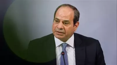 الرئيس السيسي يشارك في صورة جماعية مع زعماء القمة التنسيقية الإفريقية 