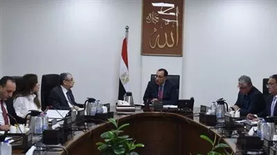 رئيس الوزراء يتابع مستجدات تنفيذ مشروعات إنتاج الهيدروجين الأخضر