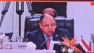 وزير المالية: البلدان النامية تتطلع إلى دعم أقوى لاستيداء مستحقاتها من الضرائب الدولية