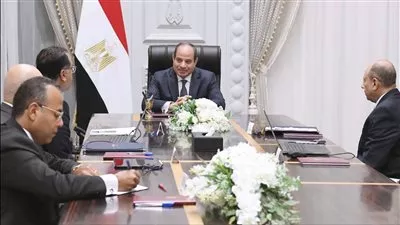 الرئيس السيسي يوجه بتكثيف جهود النهوض بقطاع الطيران المدني
