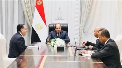 السيسي يوجه بتعزيز نشاط الموانئ المصرية على المستويين الإقليمي والعالمي