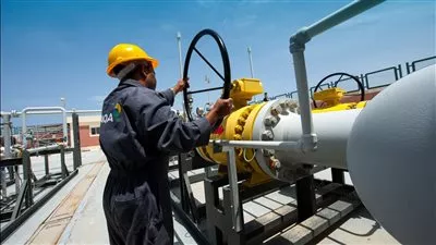 «الخدمة الوطنية» يستحوذ على 20% من «طاقة عربية» بـ 1.63 مليار جنيه