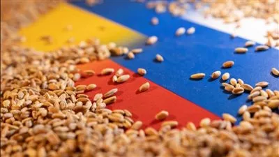 أوكرانيا تخطط لتصدير 50 مليون طن من الحبوب عبر طرق بديلة