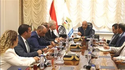 وزير قطاع الأعمال يبحث مع تحالف مصري فرنسي إنشاء محطتي طاقة شمسية