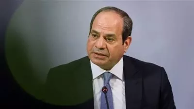 تفاصيل مشاركة السيسي في اجتماع مبادرة تسوية الأزمة الروسية الأوكرانية بسان بطرسبرج
